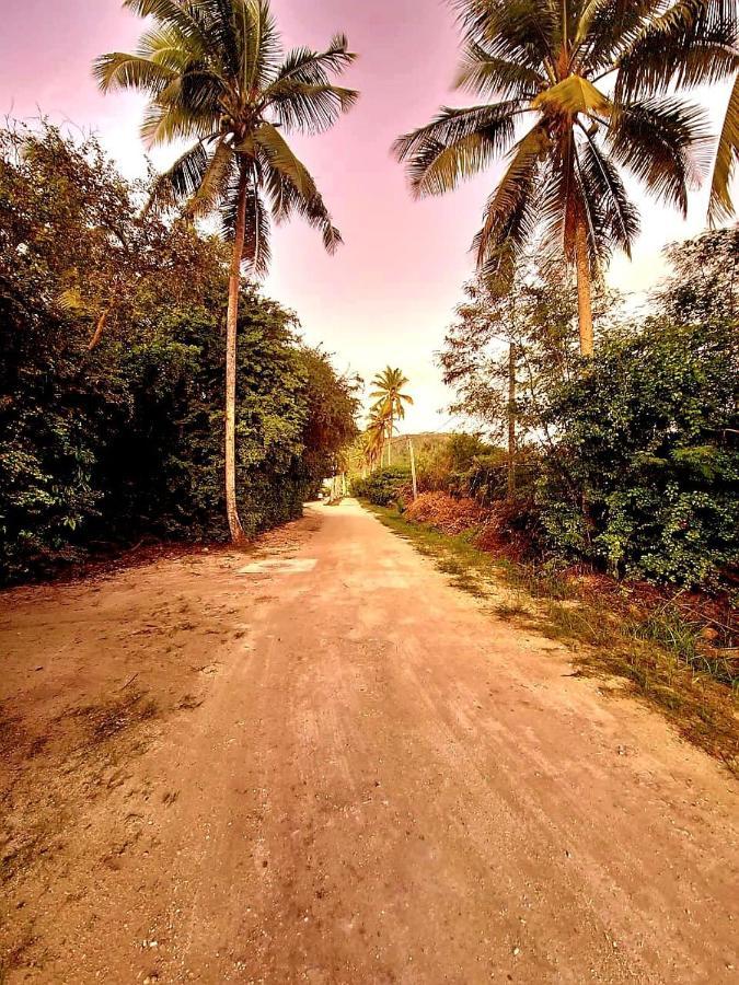 Le Nid De Bea Self-Catering Apartments La Digue Buitenkant foto